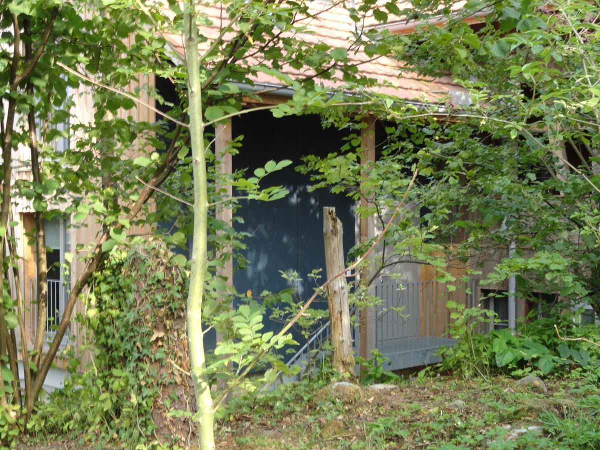 Bed And Breakfast Wegmann Andelfingen Eksteriør billede