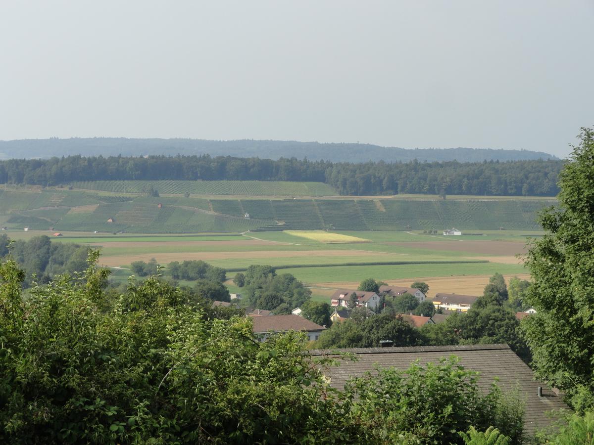 Bed And Breakfast Wegmann Andelfingen Eksteriør billede